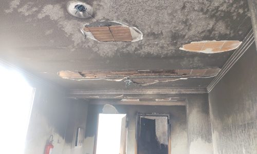 7d37b369-bc36-4e73-a71d-e0d733eed714 (1)