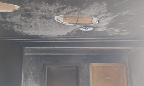 d53bb67c-bab0-4935-ae04-098821bf2129